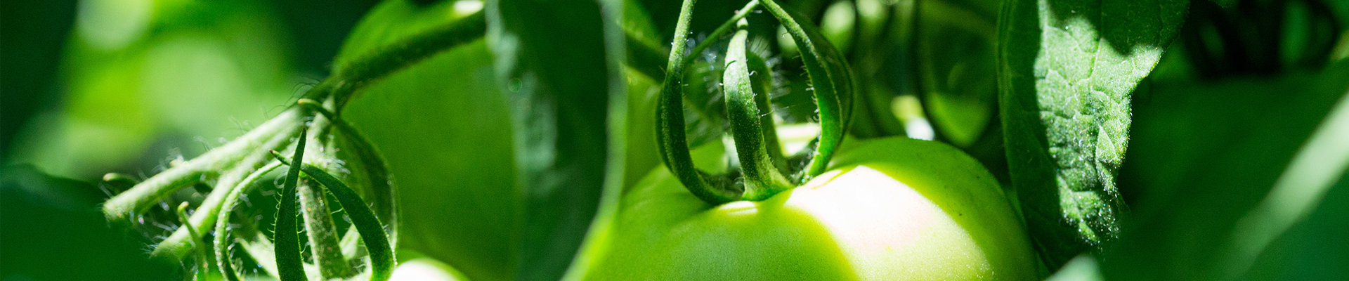 80后敢想敢拼奠定企業調性